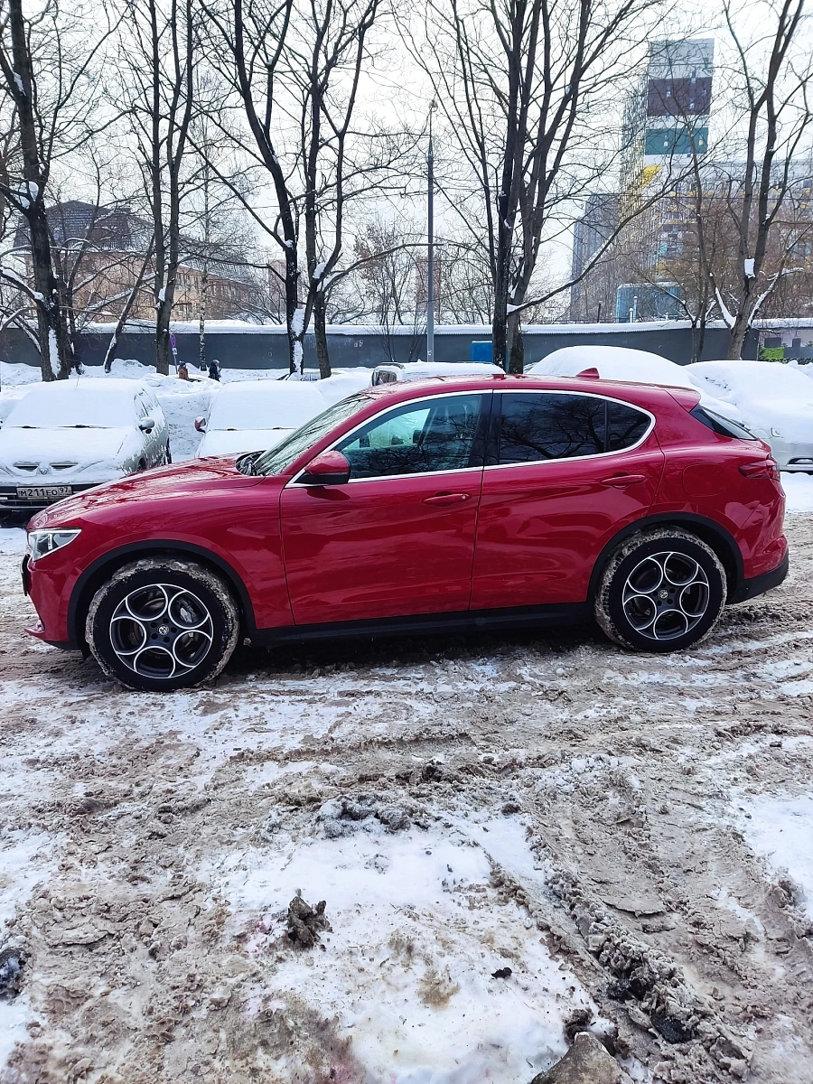 Alfa Romeo Stelvio, 2019г., полный привод, автомат