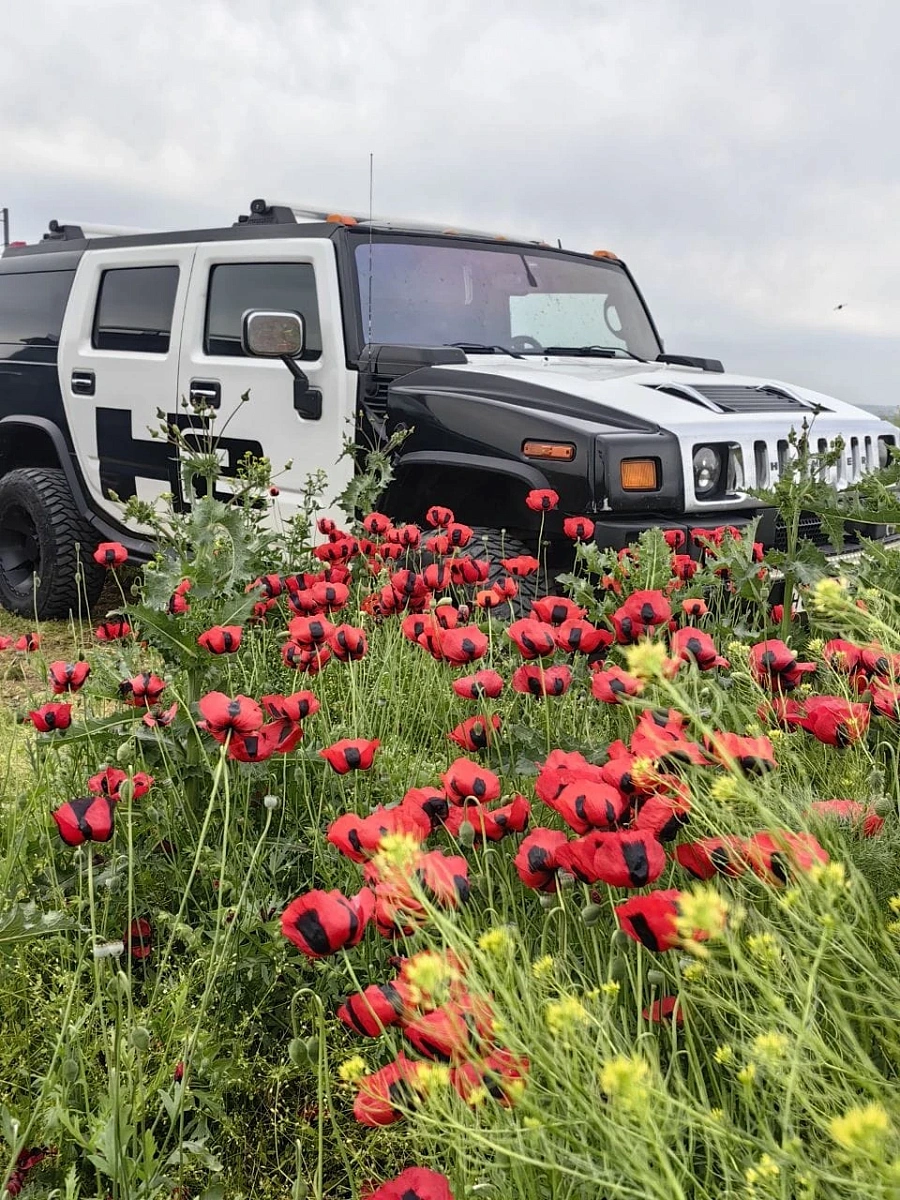 Hummer H2, 2005г., полный привод, автомат