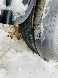 Steelbear PF 41N, 2018г