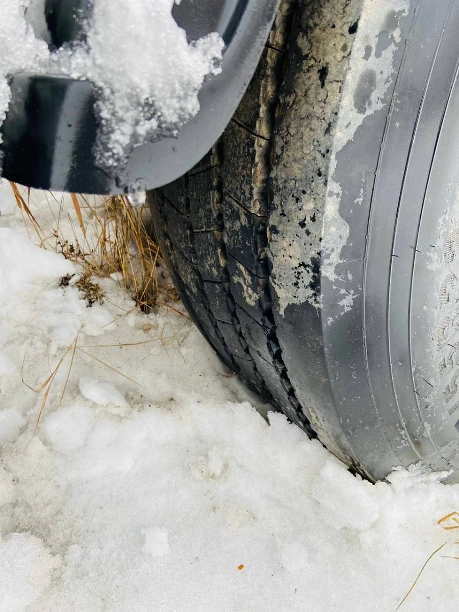 Steelbear PF 41N, 2018г.