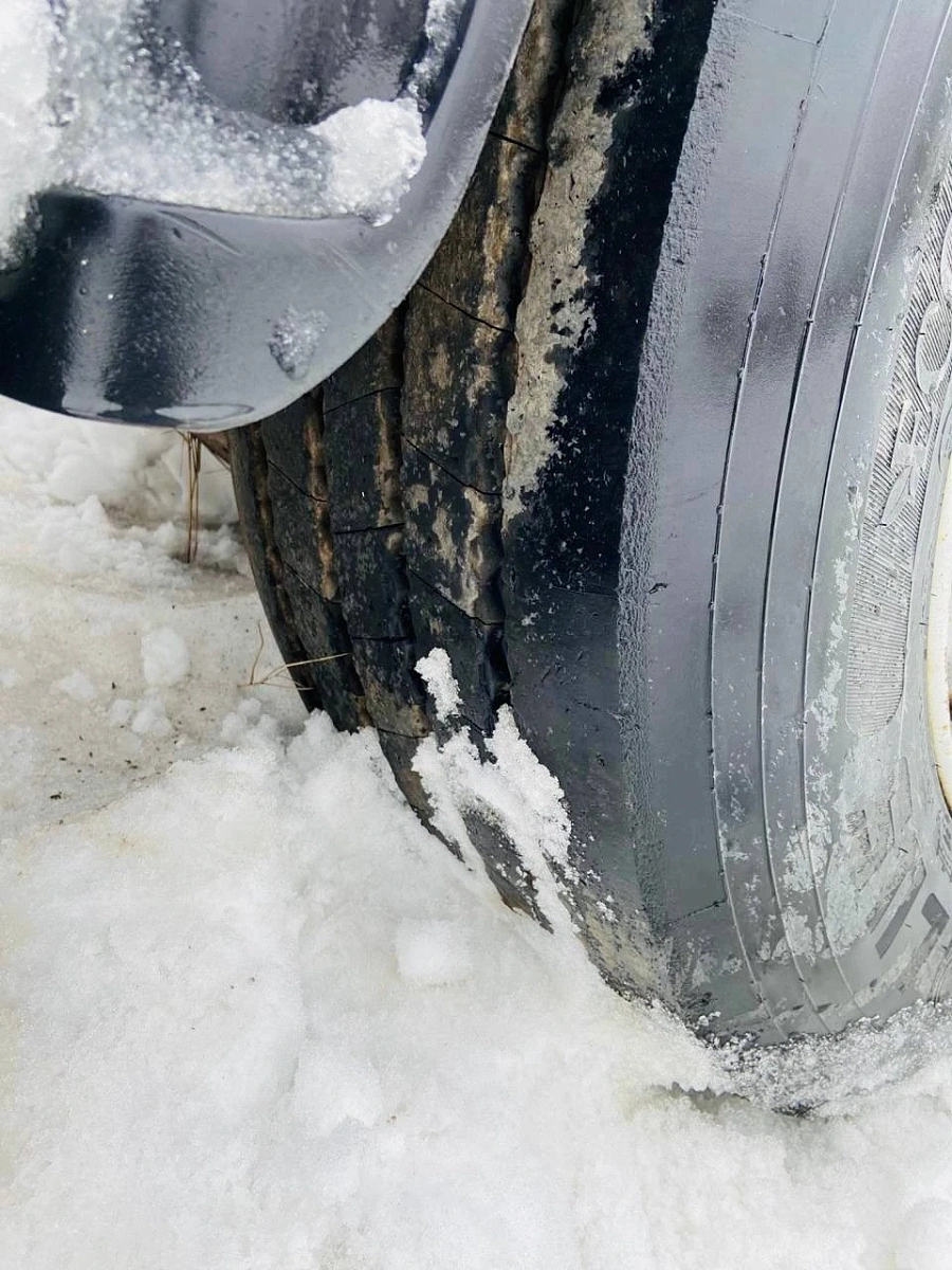 Steelbear PF 41N, 2018г.