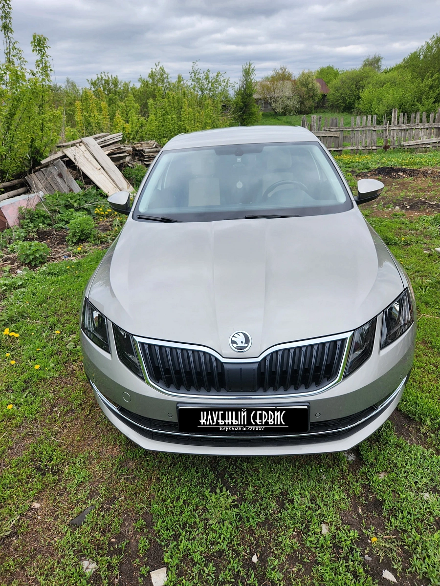 Skoda Octavia, 2019г., передний привод, автомат