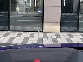 Lamborghini Urus, 2025г., полный привод, автомат