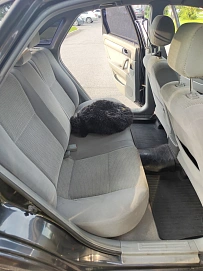 Chevrolet Lacetti, 2007г, передний привод, автомат