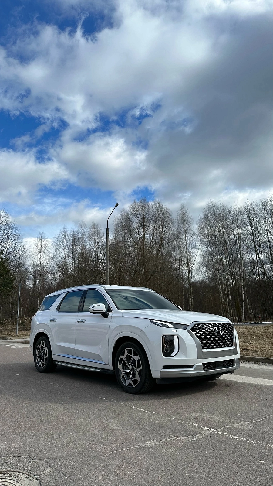 Hyundai Palisade, 2020г., полный привод, автомат