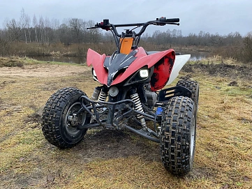 Motoland ATV 250S, 2019г, Задний привод, Механическая