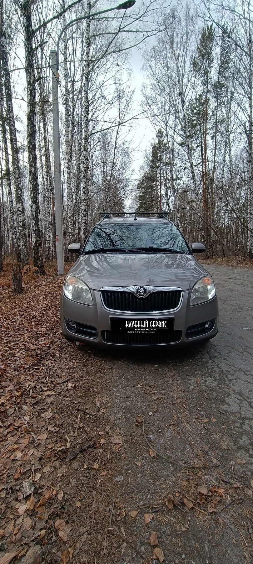 Skoda Roomster, 2007г., передний привод, механика