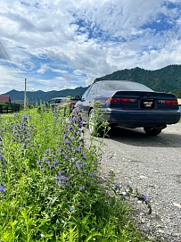 Toyota Camry, 1998г, передний привод, автомат