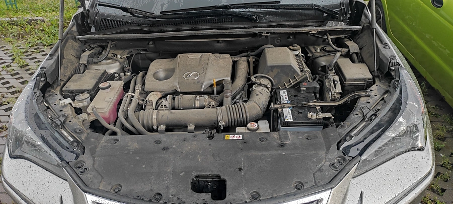 Lexus NX, 2019г., полный привод, автомат