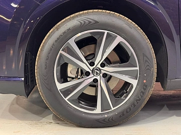 Lexus RX, 2025г, полный привод, автомат