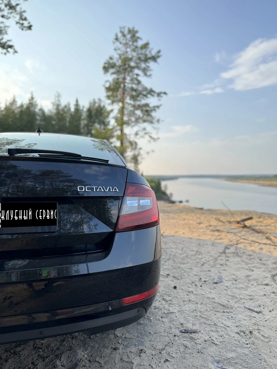 Skoda Octavia, 2017г., передний привод, робот