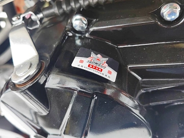 Racer Z5, 2025г, Цепь привод, 5 передач