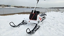 Другие Снегоходы  другие , 2025г.
