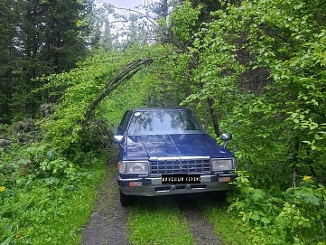 Toyota Crown, 1987г, задний привод, механика