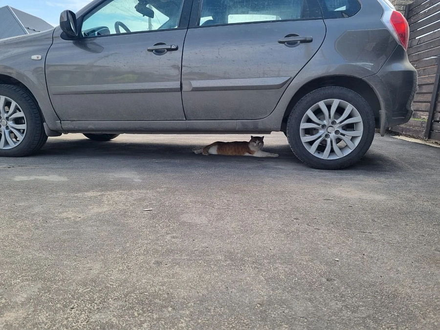 Datsun mi-DO, 2015г., передний привод, механика