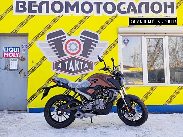 Racer Caiman, 2025г, Цепь привод, 5 передач