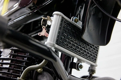 Fuego Rambolor 250, 2025г, Цепь привод, 6 передач