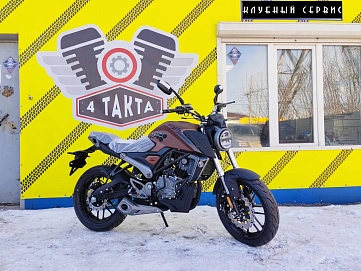 Racer Caiman, 2025г, Цепь привод, 5 передач