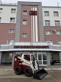 Профессионал ПМ 1000, 2025г