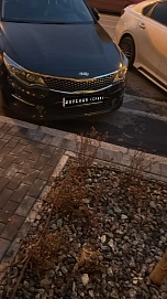 Kia Optima, 2017г, передний привод, автомат