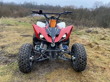 Motoland ATV 250S, 2019г, Задний привод, Механическая
