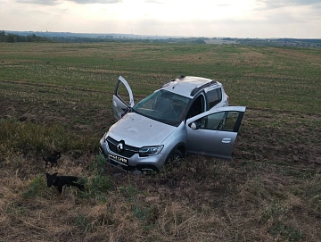 Renault Sandero, 2019г, передний привод, автомат