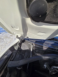 Toyota Land Cruiser, 2019г., полный привод, автомат