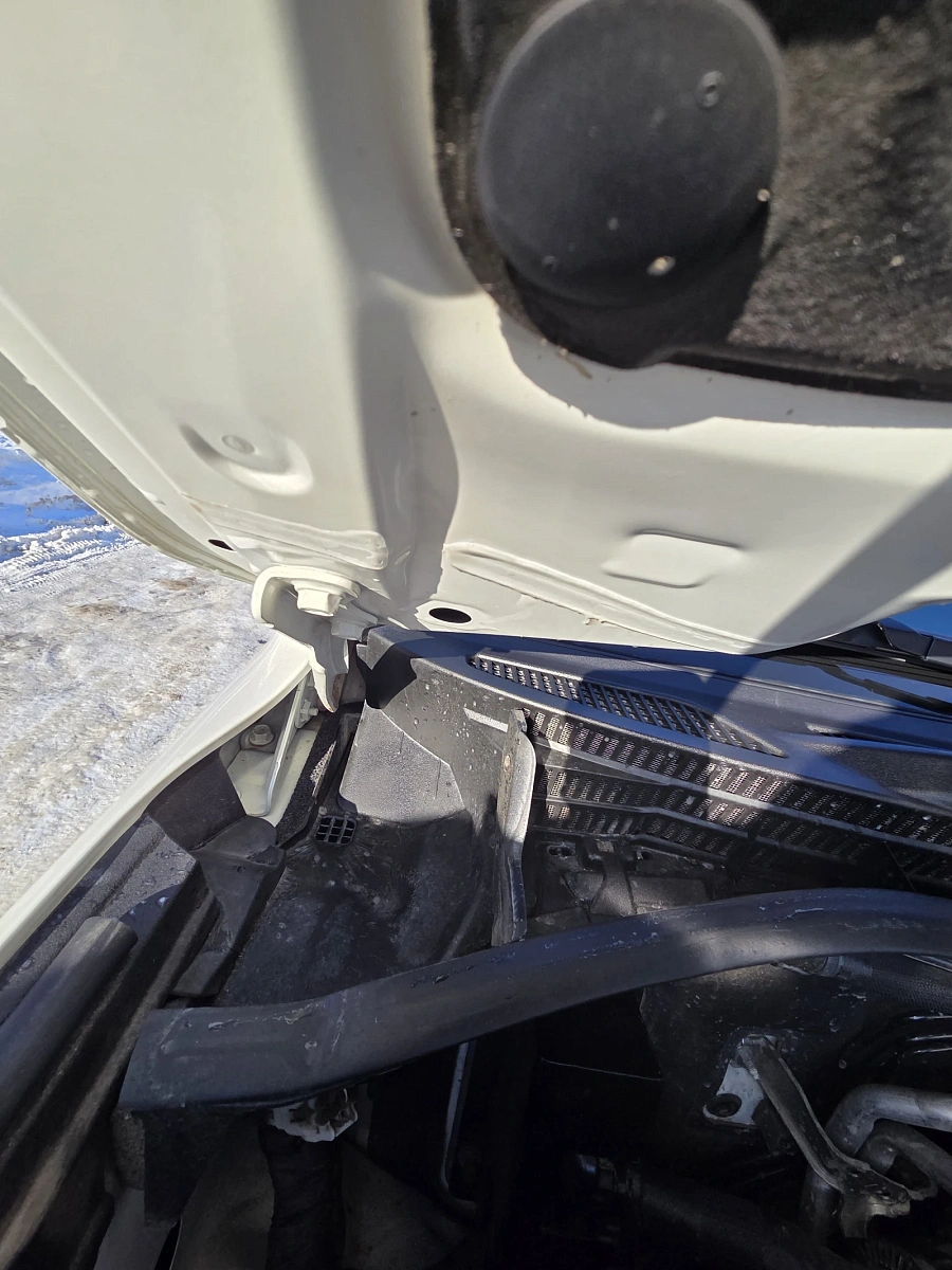 Toyota Land Cruiser, 2019г., полный привод, автомат