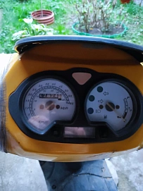 Viper Storm, 2006г, Вариатор