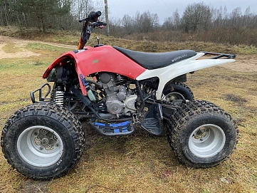 Motoland ATV 250S, 2019г, Задний привод, Механическая