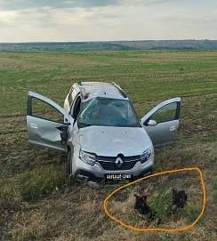 Renault Sandero, 2019г, передний привод, автомат